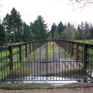 Iron Scroll Gate