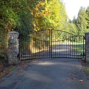 Custom Iron Leaf Gate