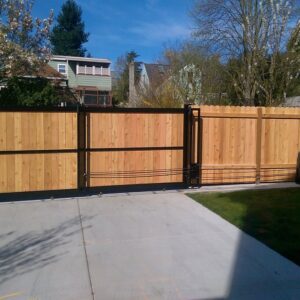 Tandem Privacy-Security Gate