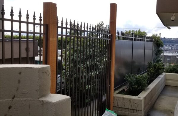 Iron Panel Arched Gate - Image 3
