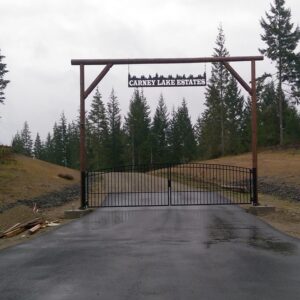 Simple Iron Double Swing Gate