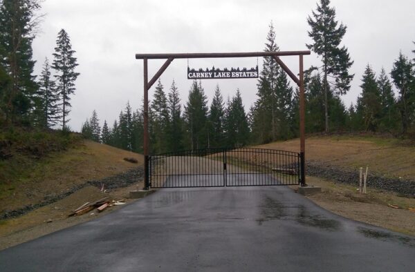 Simple Iron Double Swing Gate