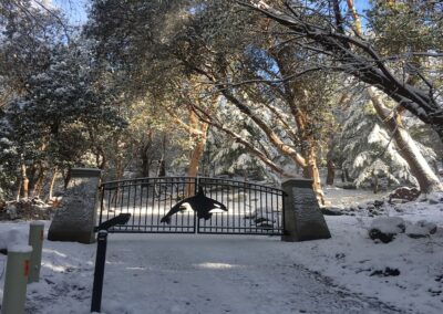 Double Swing Gate with Orca