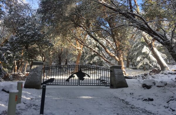 Double Swing Gate with Orca