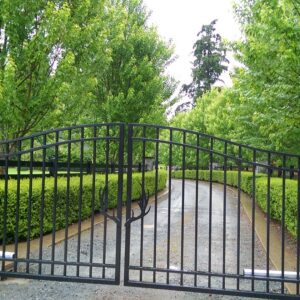 Residential driveway gate with custom iron antler design