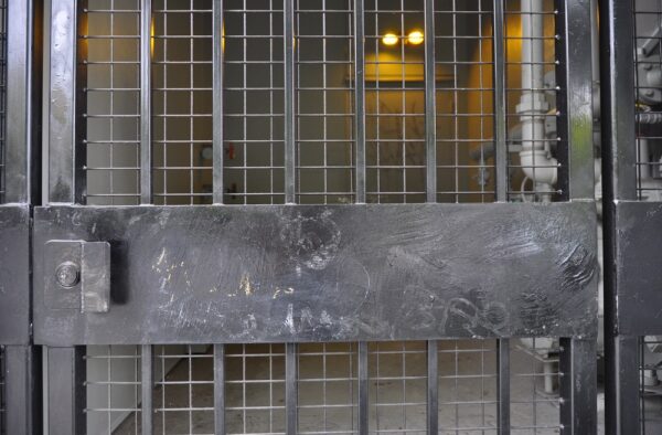 Tall Security Gate - Image 2