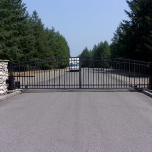 Double Swing with Ped Gate