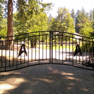 Star Trek Gate
