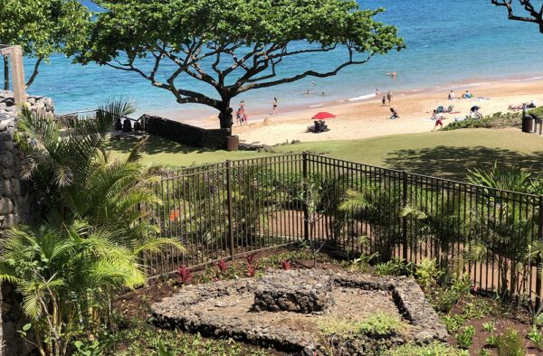 Hawaiian Slide Gate - Image 3