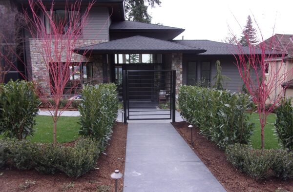 Black Pacific Ped Gate - Image 2
