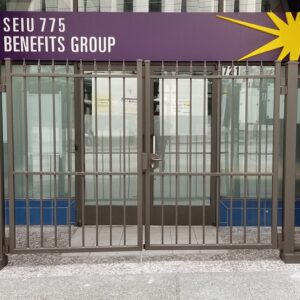 Security Ped Gate
