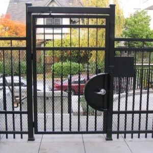 Iron Pedestrian Gate with mesh
