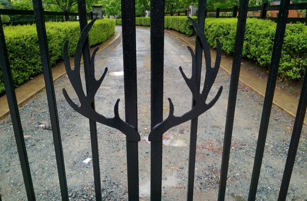 Antler Swing Gate - Image 2