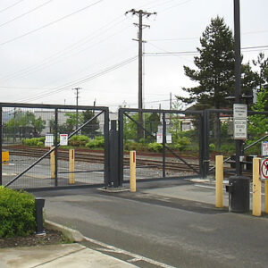 Iron Swing Gate with Mesh