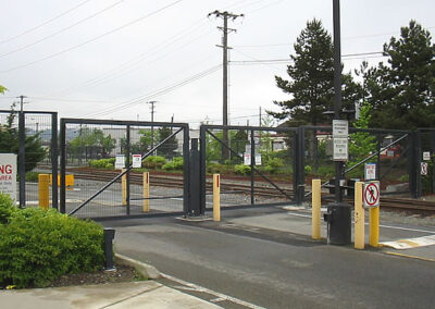 Iron Swing Gate with Mesh