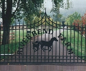 Pointed Single Swing Gate