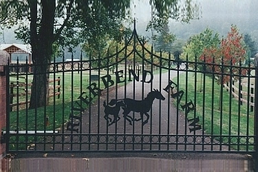 Pointed Single Swing Gate