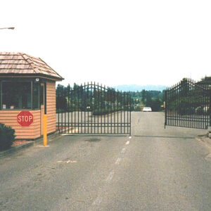 Double Swing Gate with Spears
