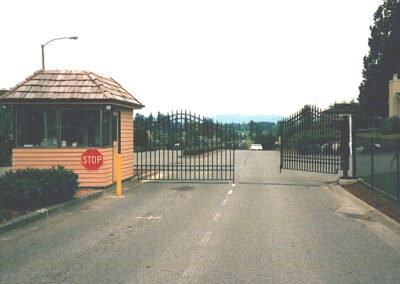 Double Swing Gate with Spears