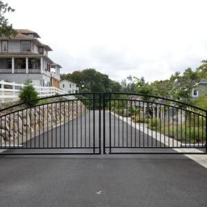 Double Swing Gate