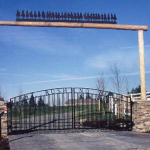 Iron Double Swing Gate
