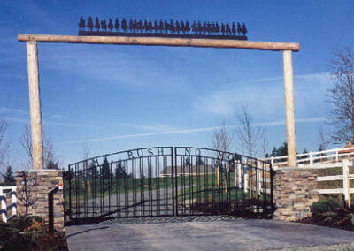 Iron Double Swing Gate