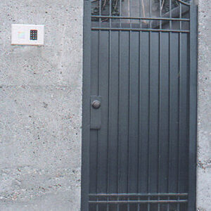Pedestrian Privacy-Security Gate