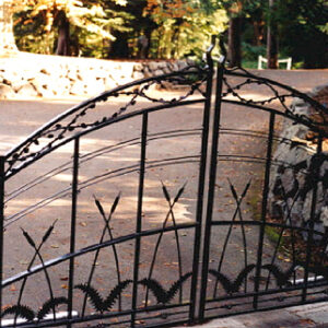 Double Swing Gate with Cattails
