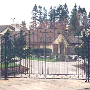 Double Swing Security Gate