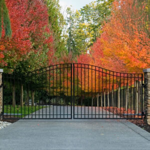 Arched Double Swing Gate