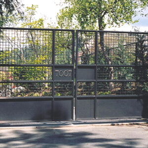 Iron Double Swing Gate