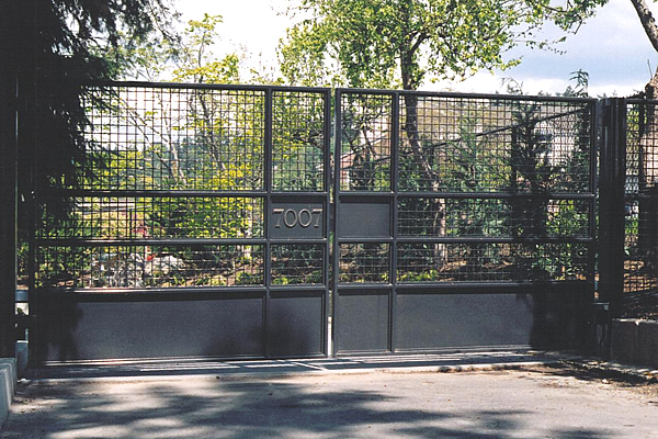 Iron Double Swing Gate