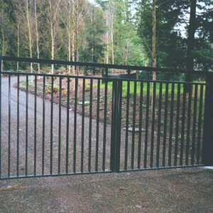 Double Swinging Gate