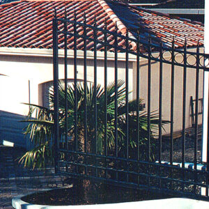 Double Swing Entrance Gate
