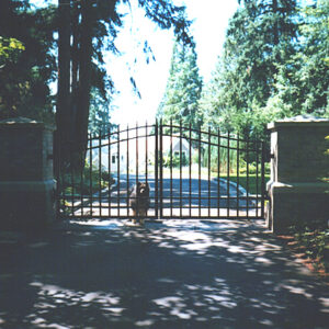Iron Swing Gates with Arch