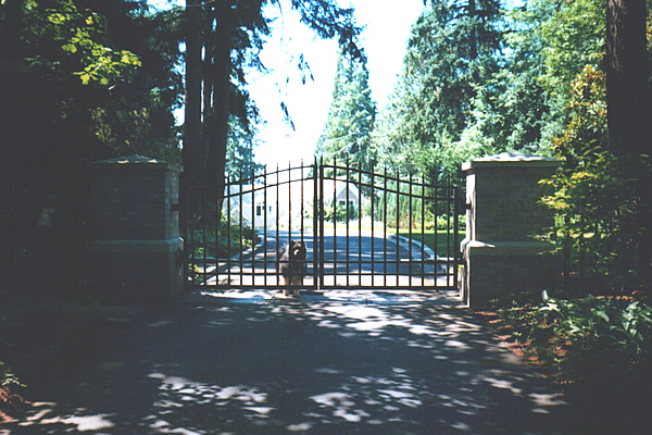 Iron Swing Gates with Arch