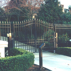 Iron Swing Gate with Spear Points and Fencing