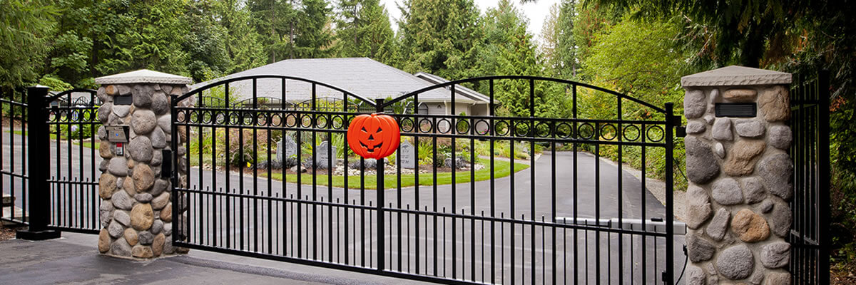 Double Swing Iron Home Driveway Pedestrian Gate